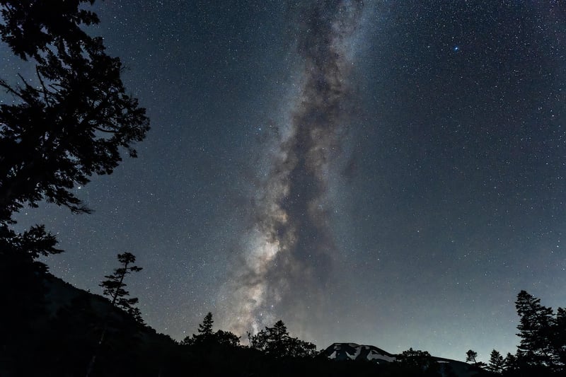 Starry Sky Garden